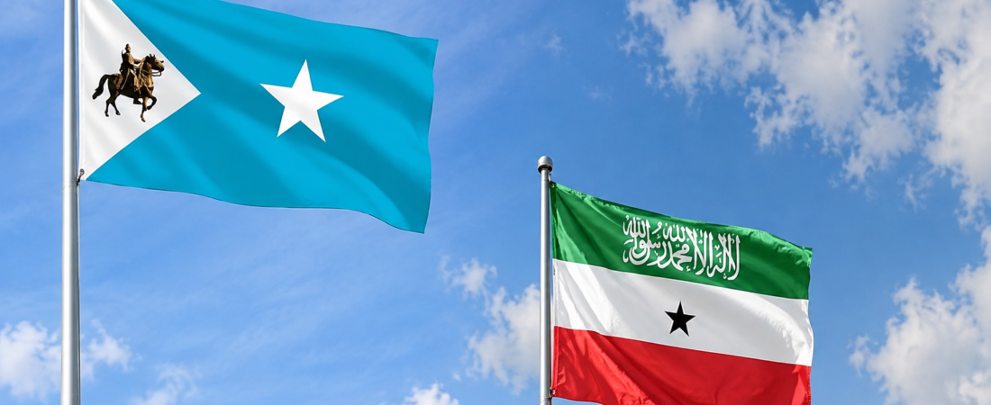 The Scars of Conflict: Historical and Contemporary Mass Violences in Somaliland’s Borderlands